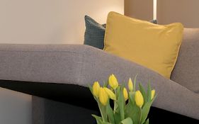 Tp City Apartment - City Center